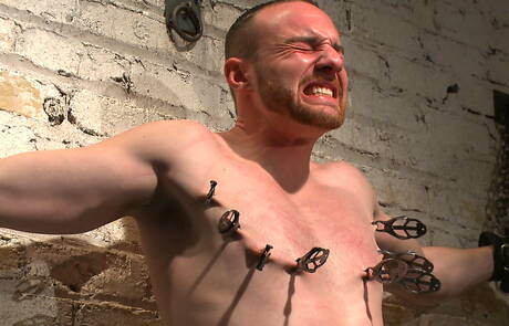 Stud Jimmy Bullet hard vastgebonden