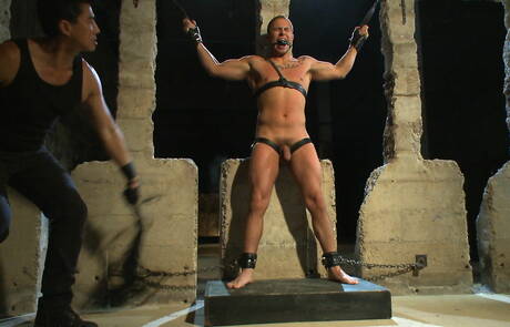 Amerikaanse jongeman Shawn Fox in bondage-pornoscène