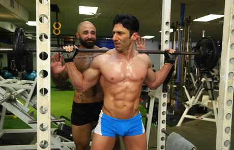 Der amerikanische haarige Bär Atlas Grant und der kräftige Sir Jet lieben sich