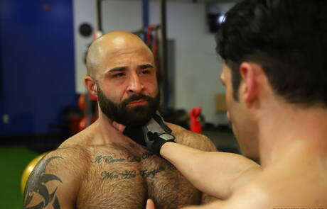 Der amerikanische haarige Bär Atlas Grant und der kräftige Sir Jet lieben sich