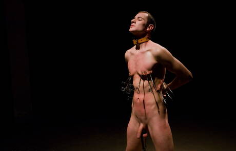 Strongman Nomad hardgebonden buiten