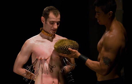 Strongman Nomad hardgebonden buiten