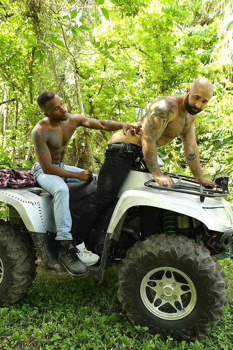 Nette amerikanische Jungs, der heiße Bär Atlas Grant und der bullige Pheonix Fellington beim Analsex im Freien