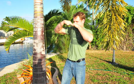 Seksowni Amerykanie, twardziel Trent Diesel i muskularny Izzy James uprawiają dobry międzyrasowy seks przy basenie