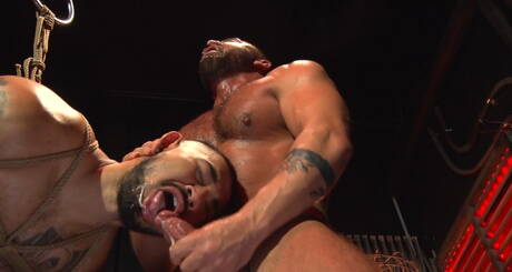 Latin superstud Dominic Pacifico and  Jon Darra hard tied