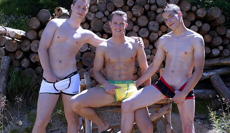 Wanking and sucking each other