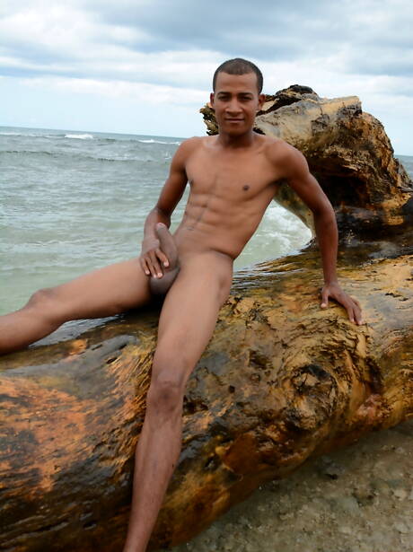 Twink Enrique Balboa and hot twink Tyler Tremallose in hot interracial anal sex after beach