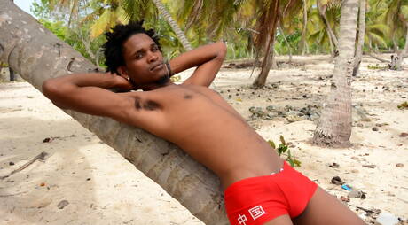 Shameless buddies Carlos Santiago, David Hanson and Lloyd Goldwyn in hard interracial 3some sex on beach