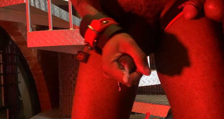 Der schwarze Kraftprotz August Alexander und der Hengst Santino Cruz in einer Bondage-Sexszene