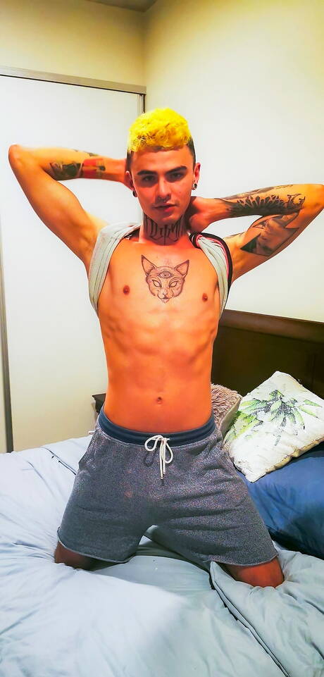 Der junge Pantera Chill und der Twink Tito Costa haben guten Sex