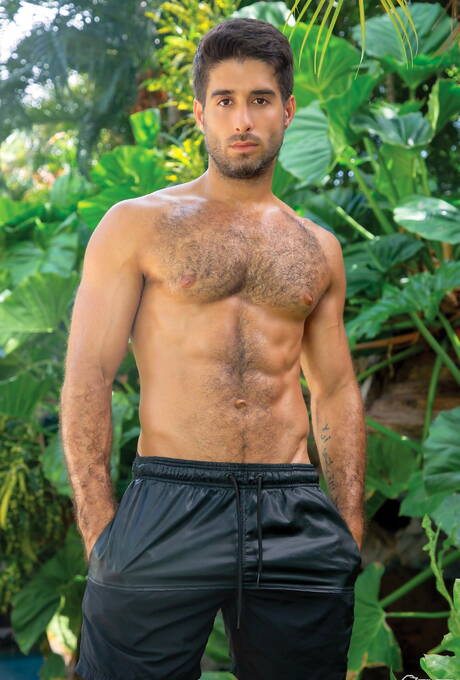 Der harte Latino-Typ Diego Sans und der reife amerikanische Bär Beau Butler bei heißer Arschfick-Action im Freien