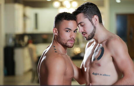 I bei ragazzi americani, Beaux Banks ben fatto e lo stallone Dante Colle, in una scena gay bollente all