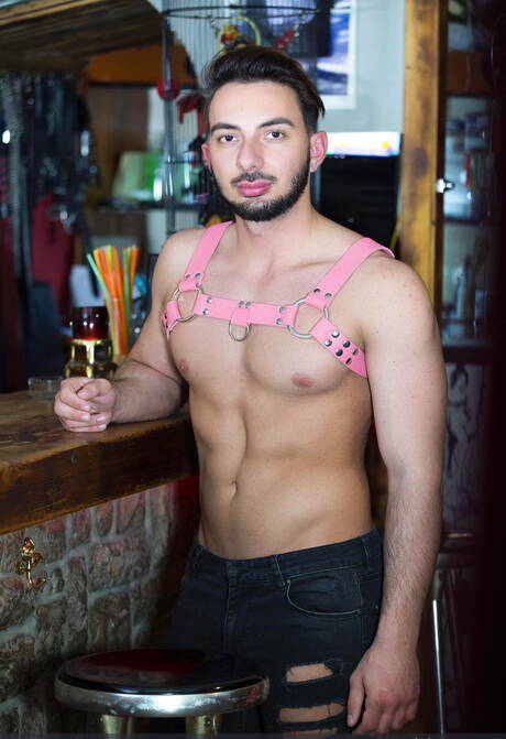 Muskelprotz Ayis Paros und der muskulöse Kanadier Manuel Skye ficken nach dem Blowjob in den Arsch