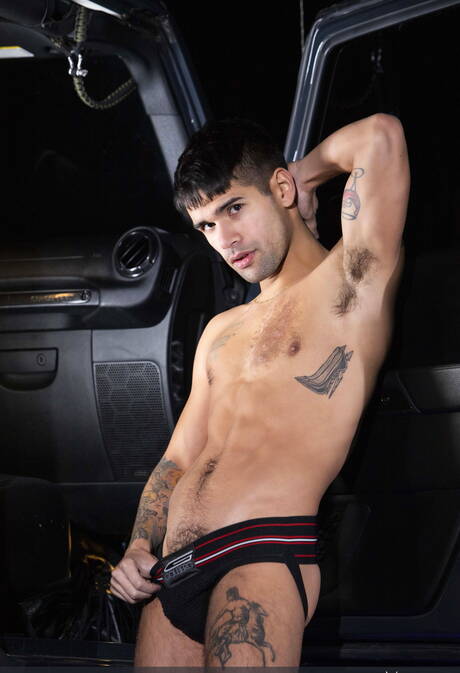 Amerikaanse pornosterren, gespierde man Pierce Paris en otter Ty Mitchell hebben anale seks