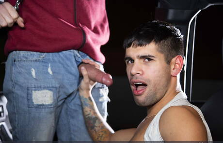 Amerikaanse pornosterren, gespierde man Pierce Paris en otter Ty Mitchell hebben anale seks