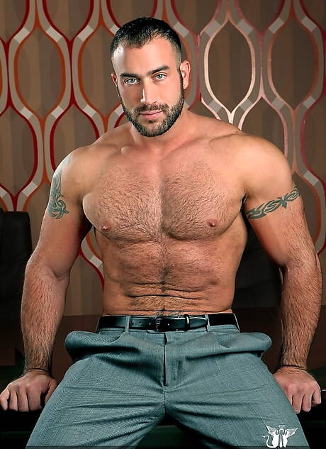 Lo stallone americano Spencer Reed mostra un corpo ben costruito