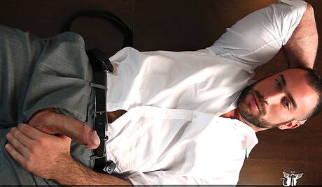 Lo stallone americano Spencer Reed mostra un corpo ben costruito