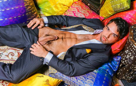 Latino-Hengst Lucky Daniels zeigt einen perfekten Körper