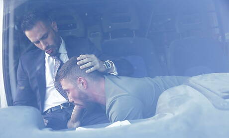 Flex and italian bull Marco Rubi in hot ass bang outdoor