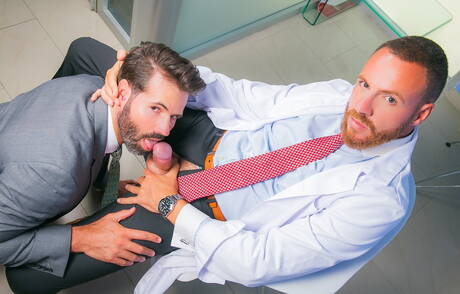 Superhengst Dani Robles und Superhengst Leo Rosso lieben sich