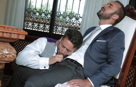 Der Hengst Robbie Rojo und der kräftige Xavi Duran haben es miteinander getrieben