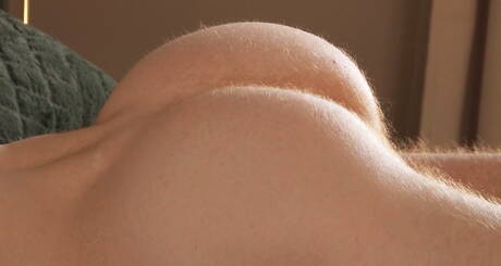 Husky Timothy Blue ma przyjemność