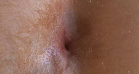 Husky Timothy Blue ma przyjemność