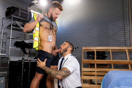 Amerykański kudłaty niedźwiedź Drew Valentino i Morgxn Thicke wiercą tyłek