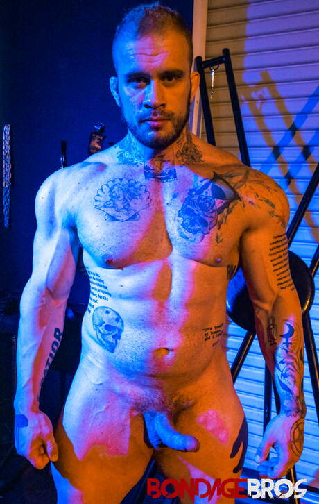 Americani sexy, il ben costruito Devin Franco e il forte toro Davin Strong legati