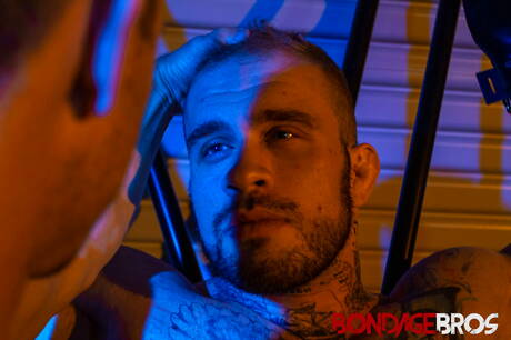 Americani sexy, il ben costruito Devin Franco e il forte toro Davin Strong legati