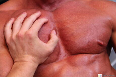 Der attraktive Amerikaner Jeremy Stevens bläst und vögelt den Jungen