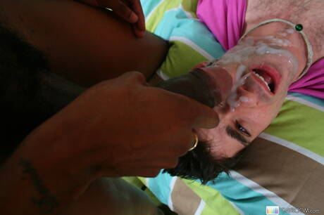 Der schwarze Hengst Jason Crew wird nach dem Saugen in den Arsch gefickt