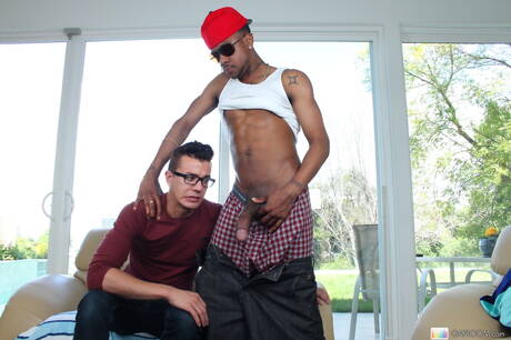 Der schwarze Schönling Seth Roberts wird nach dem Saugen im Pool in den Arsch gefickt