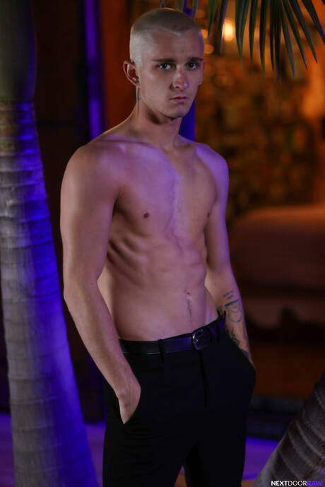 性感的美國人，肌肉男Roman Todd和年輕男孩Theo Brady在戶外享受了一場美妙的性愛