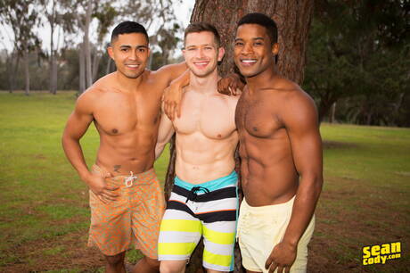 Seksowni kumple Johnny Donovan, Ricky Donovan i Landon w twardym międzyrasowym trójkącie na świeżym powietrzu