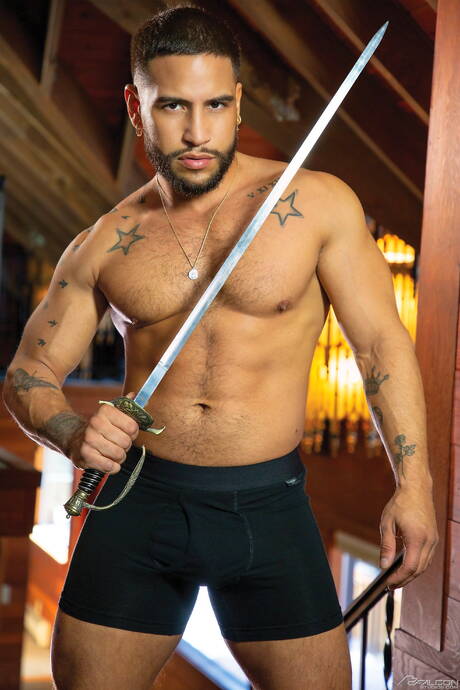 Pride Studios: Nice american guys bull Brock Banks and mature bear Cole Connor in hot homosexual action