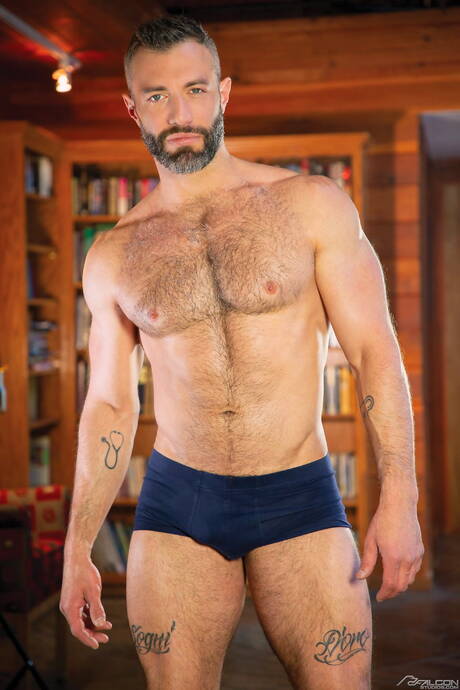 Pride Studios: Nice american guys bull Brock Banks and mature bear Cole Connor in hot homosexual action