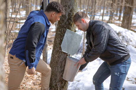 Der muskulöse Latino Kenzo Alvarez und der gut gebaute Upton Sterling bei heißer homosexueller Action im Freien