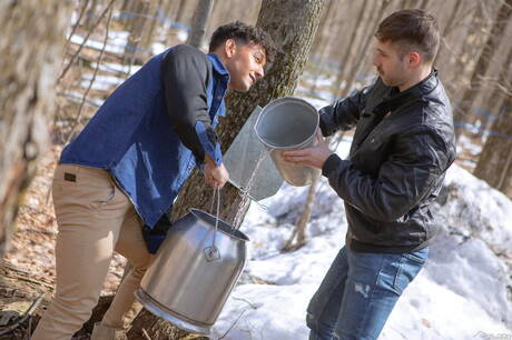 Der muskulöse Latino Kenzo Alvarez und der gut gebaute Upton Sterling bei heißer homosexueller Action im Freien