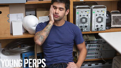 Nice american boys well-built Knockout and otter Ty Mitchell have anal sex