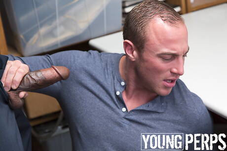 Le costaud Charles King et le taureau américain Jacob Durham ont des relations sexuelles anales interraciales