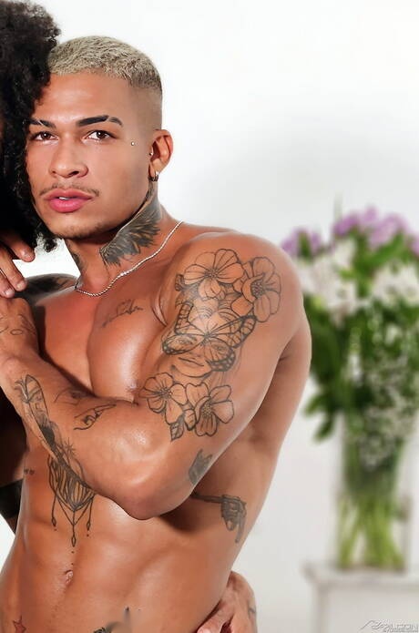 性愛場景：Gael、Andy Rodrigues 和 Italo Andrade 的三人性愛