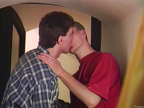 Le musclé Franz Karloff et le super étalon Hans Koloman dans une scène de fellation dans la cuisine