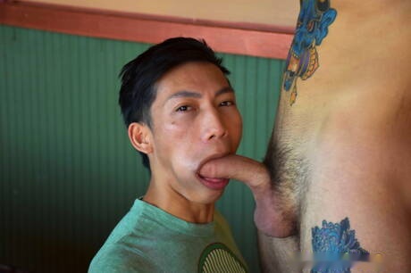 Peter Fever: Hot american boys twink Ari Nucci and well-built David Ace have a hot sex