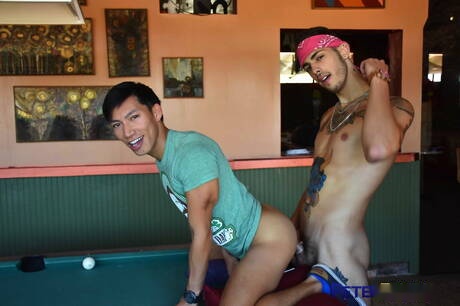 Hot american boys twink Ari Nucci and well-built David Ace have a hot sex