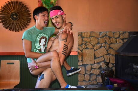 Hot american boys twink Ari Nucci and well-built David Ace have a hot sex