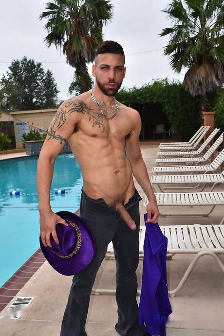 有名なアメリカ人、筋肉質のデビッド・エースと力持ちのFXリオスがプールでアナルセックスをする