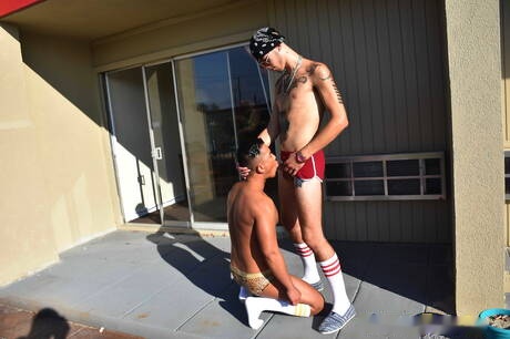 섹시한 미국인, 터프가이 알렉스 추와 젊은 아리 누치가 밖에서 딕을 빨아들이는 장면