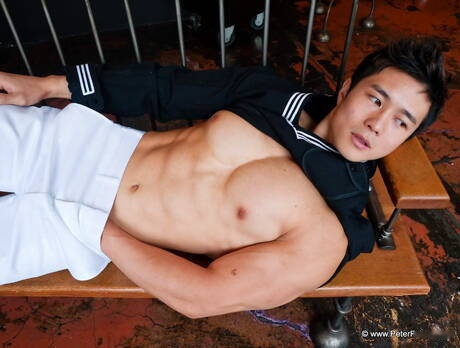 Oriental brunette bull Peter Le shows a strong well built body