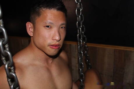 Famous americans, muscular Jessie Lee and well-built John Rene sucking and fucking each other